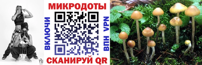 Галлюциногенные грибы Psilocybe  Билибино 